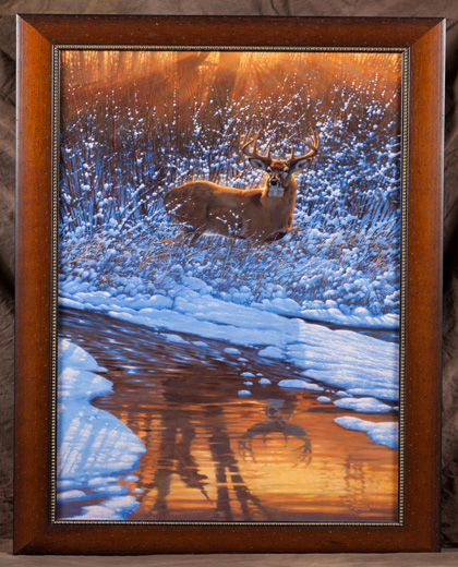 Reflections of Bowhunting Look Carefully
