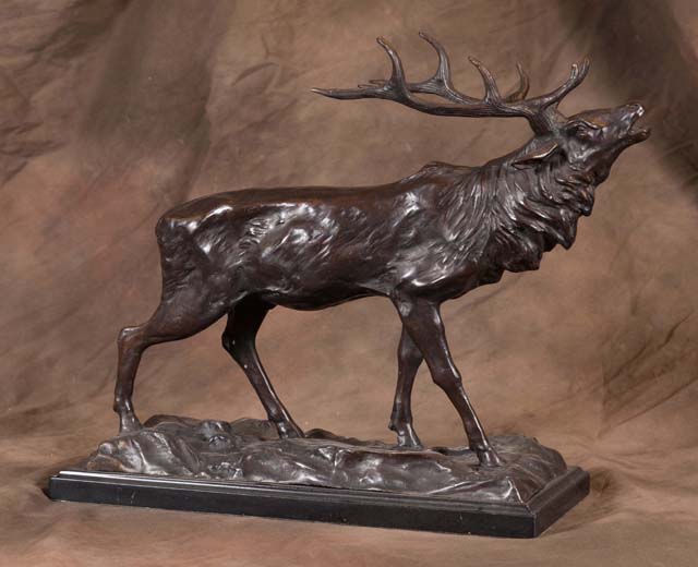 Bugling Elk