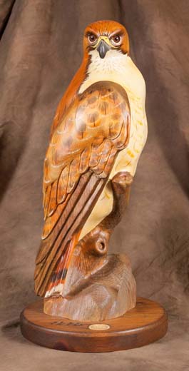 From the Hearts of the Fierce, Comes Peace Red Tailed Hawk