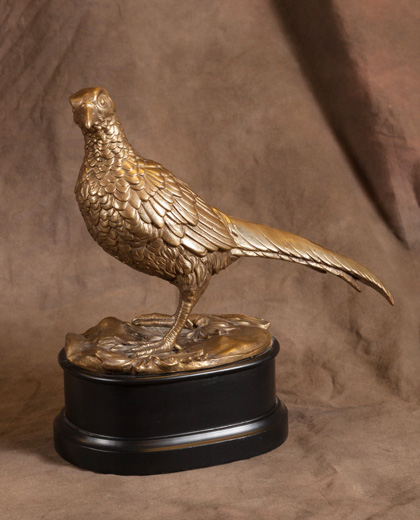 Bronze Hen Pheasant