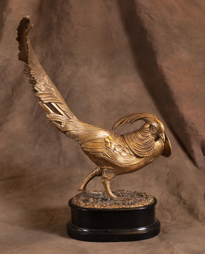 Bronze Cock Pheasant