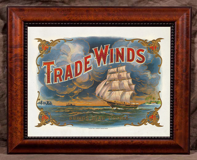 Trade Winds