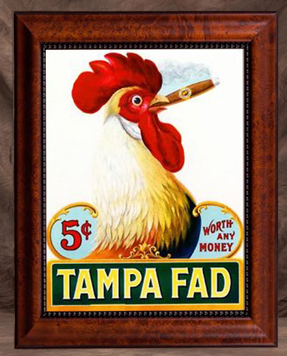 Tampa Fad